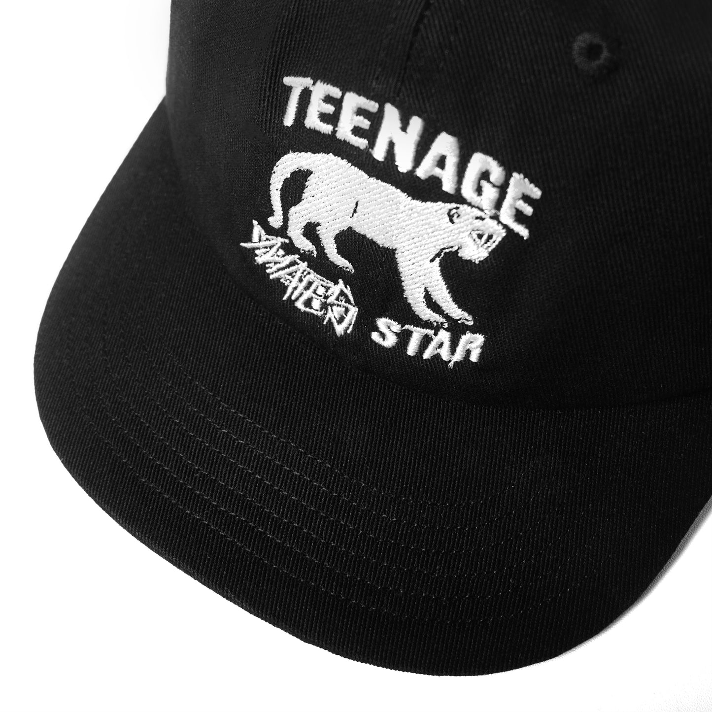 Miracle Mates - Circus Rock Black 6 Panel Cap Collboration Teenage Death Star